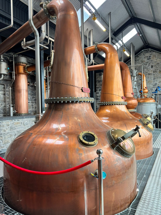 Preview: Whisky Tasting Irish Spirits mit Mareike Spitzer